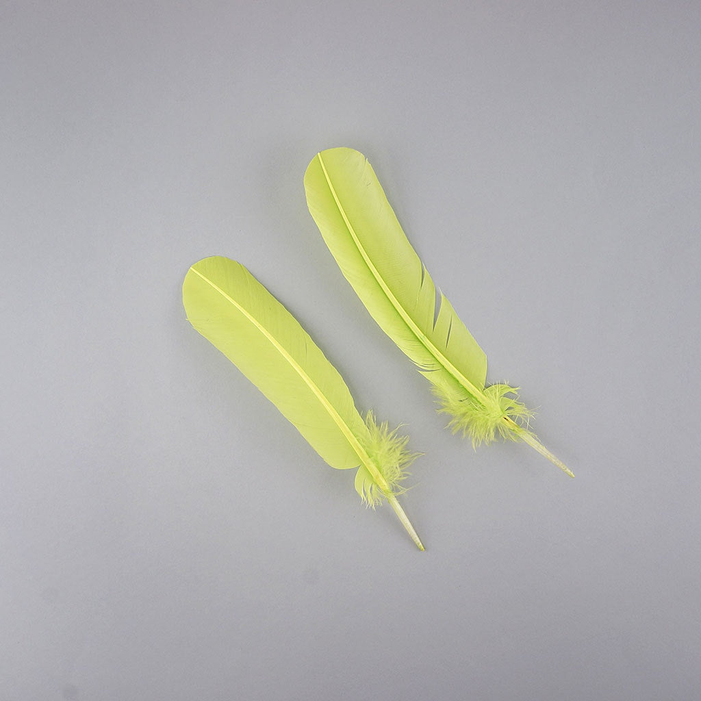 Turkey Quills Dyed Feathers - Lime Green