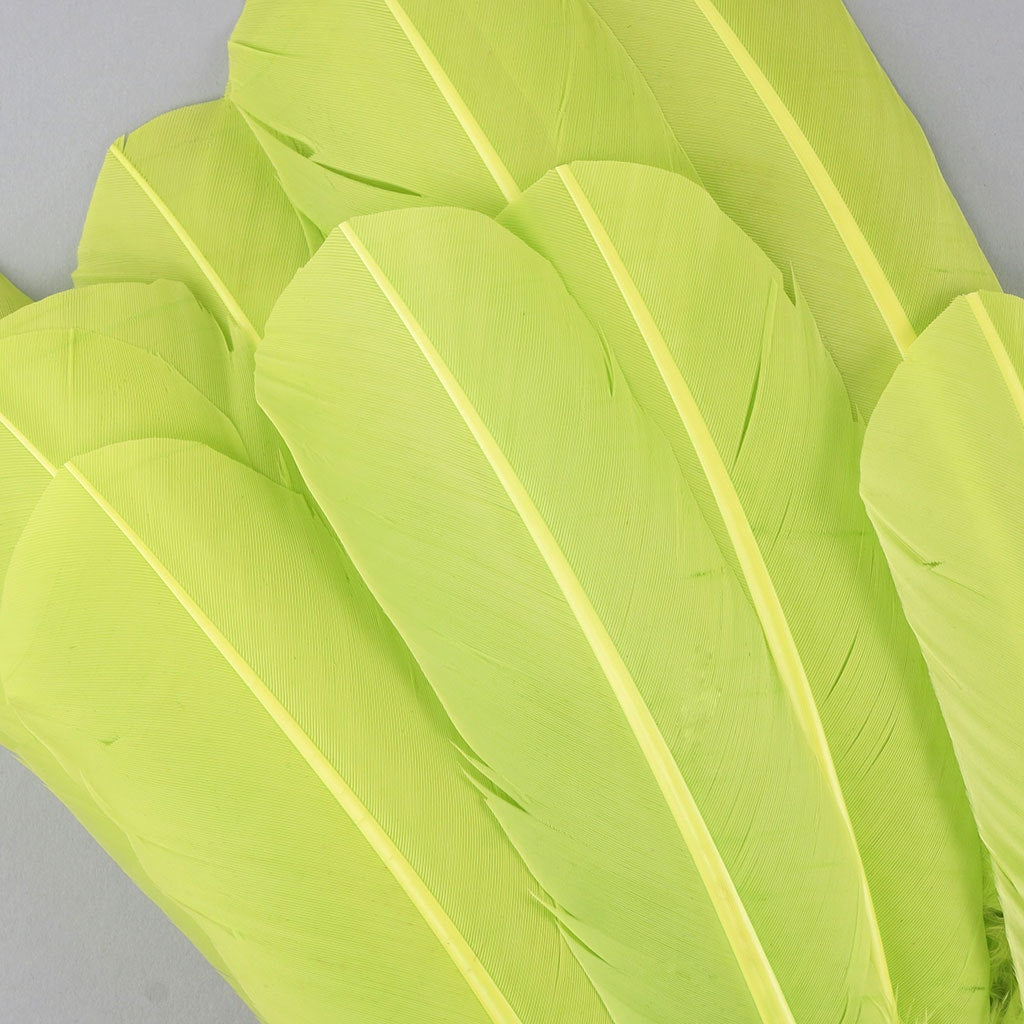 Turkey Quills Dyed Feathers - Lime Green