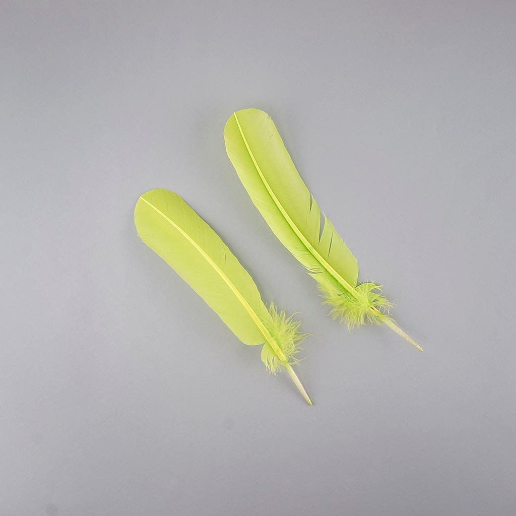 Turkey Quills by Pound - Left Wing - Lime