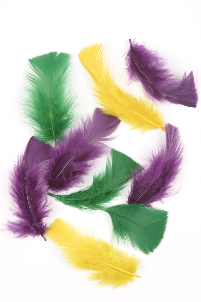 Loose Turkey Plumage Mix Dyed - Mardigras Mix