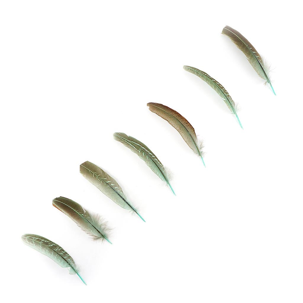 Pheasant Tail Feathers Dyed - Mint