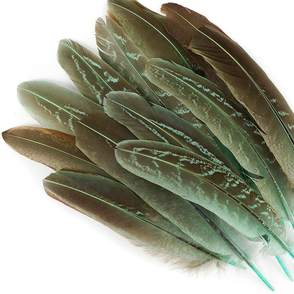 Pheasant Tail Feathers Dyed - Mint