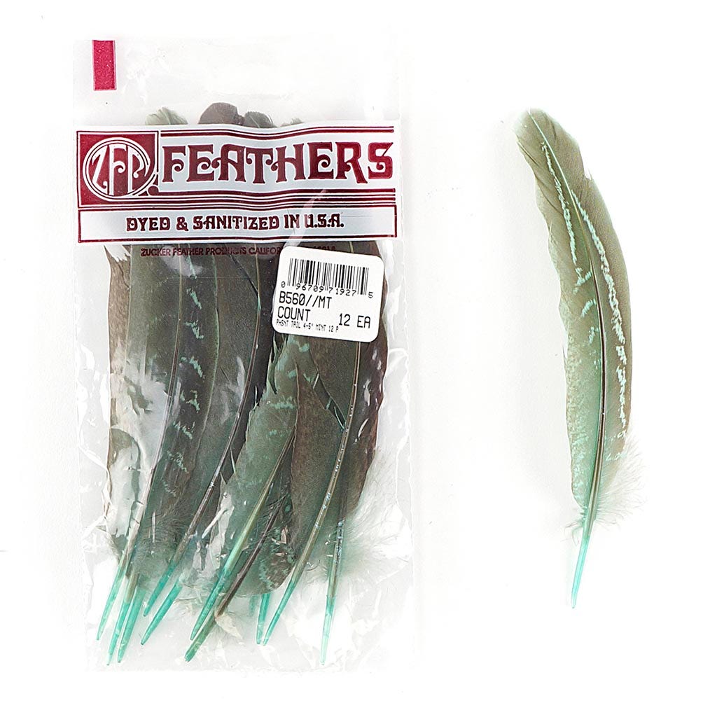 Pheasant Tail Feathers Dyed - Mint