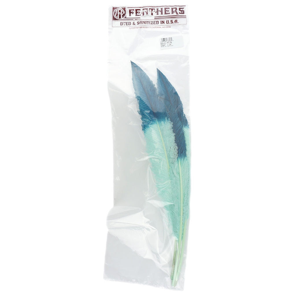 Ostrich Nandu Tipped Feathers Selected - Mint - Peacock Blue