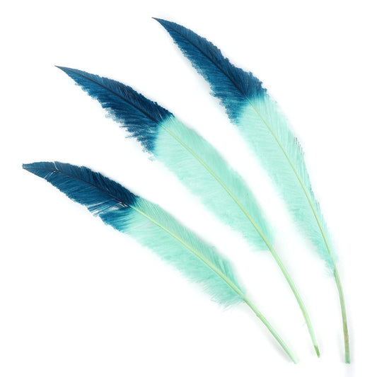 Ostrich Nandu Tipped Feathers Selected - Mint - Peacock Blue
