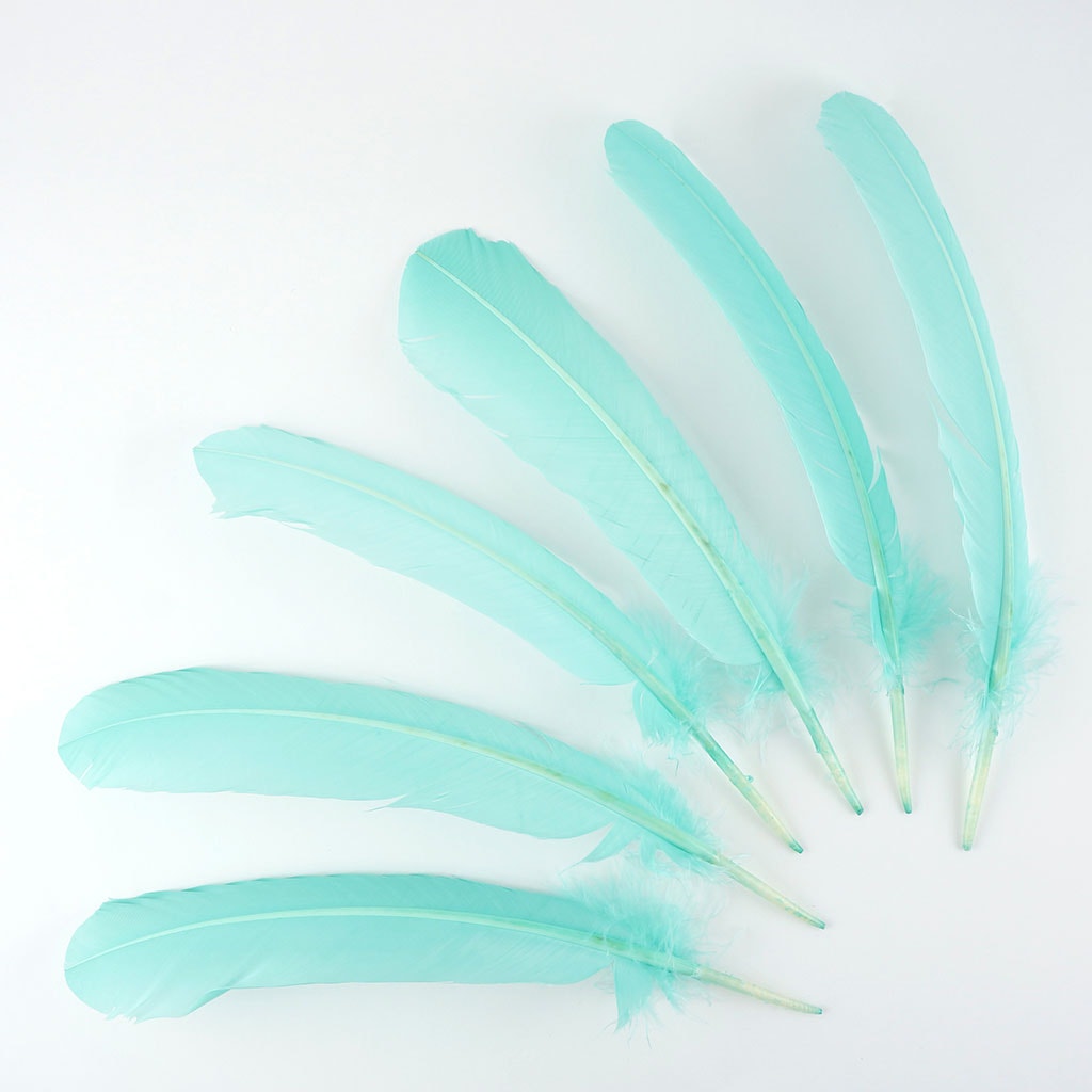 Turkey Quills Selected Mint