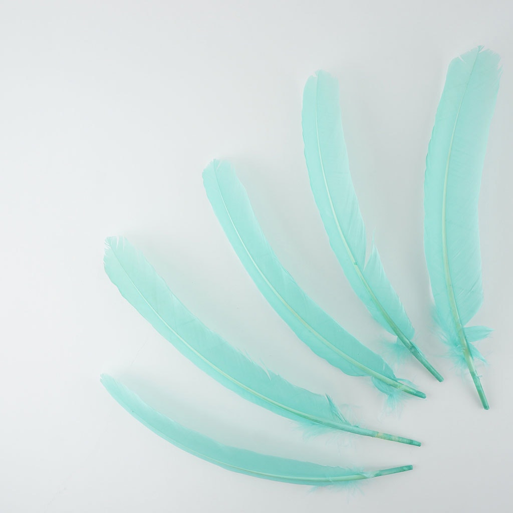 Turkey Quills Selected Mint