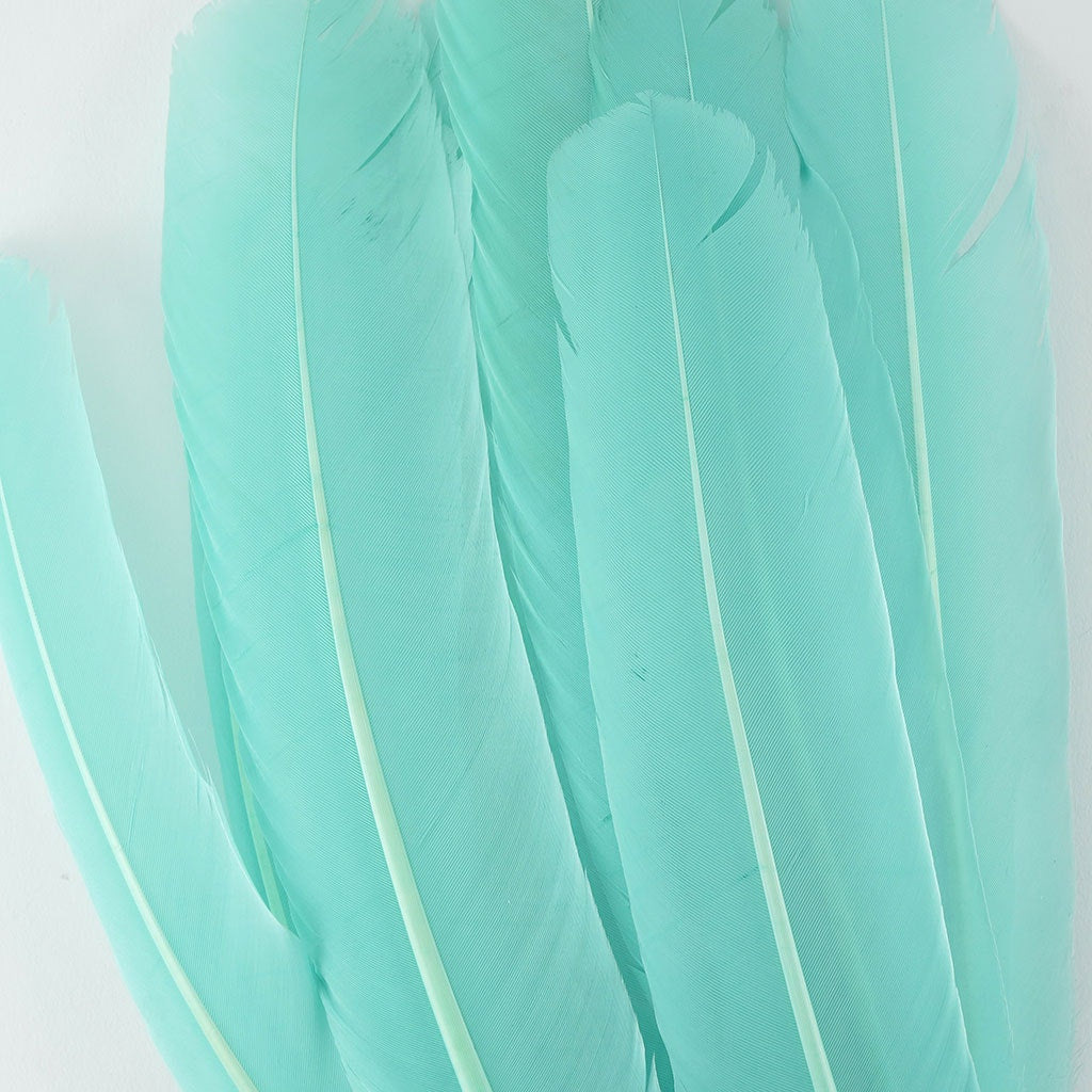 Turkey Quills Selected Mint