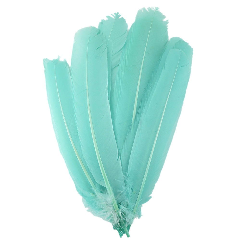 Turkey Quills Selected Mint