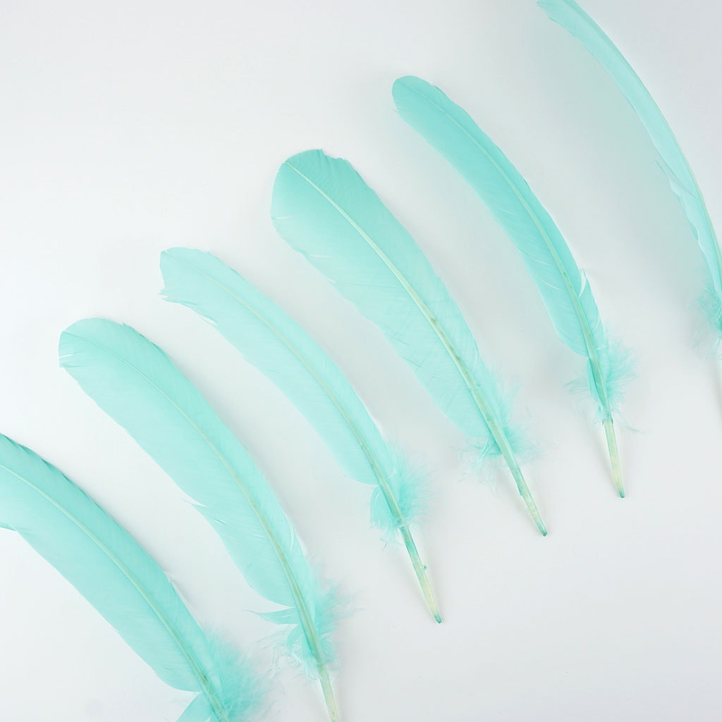 Turkey Quills by Pound - Left Wing - Mint