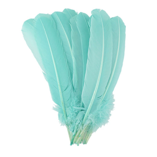 Turkey Quills by Pound - Left Wing - Mint