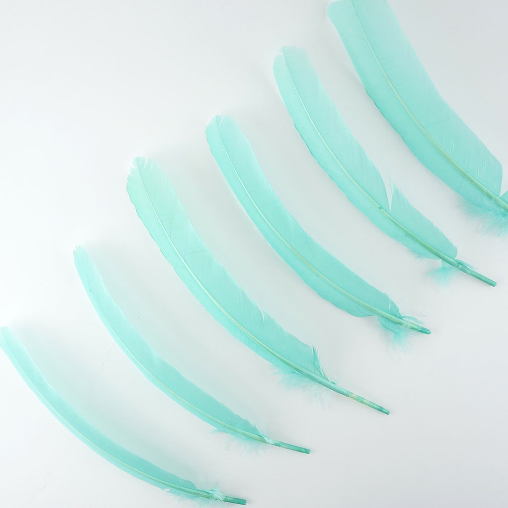 Turkey Quills by Pound - Right Wing - Mint