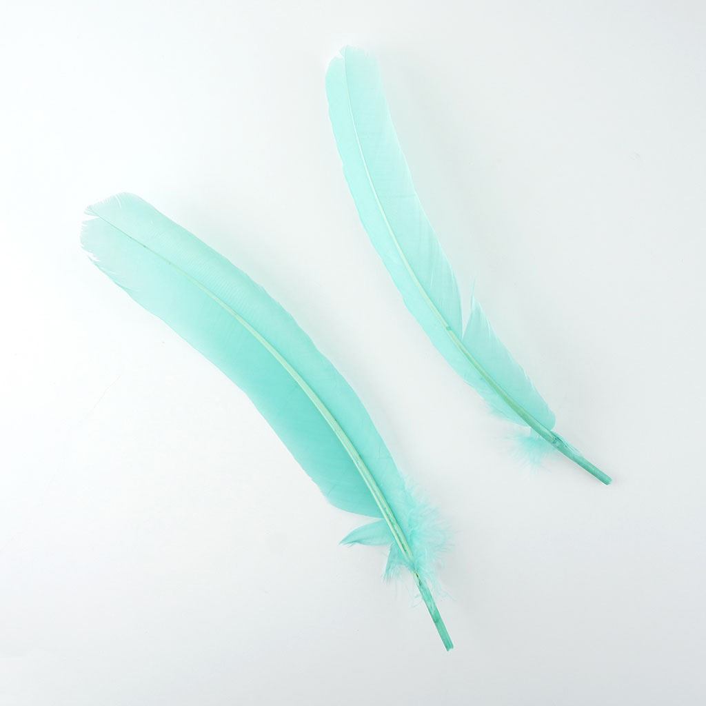 Turkey Quills by Pound - Right Wing - Mint