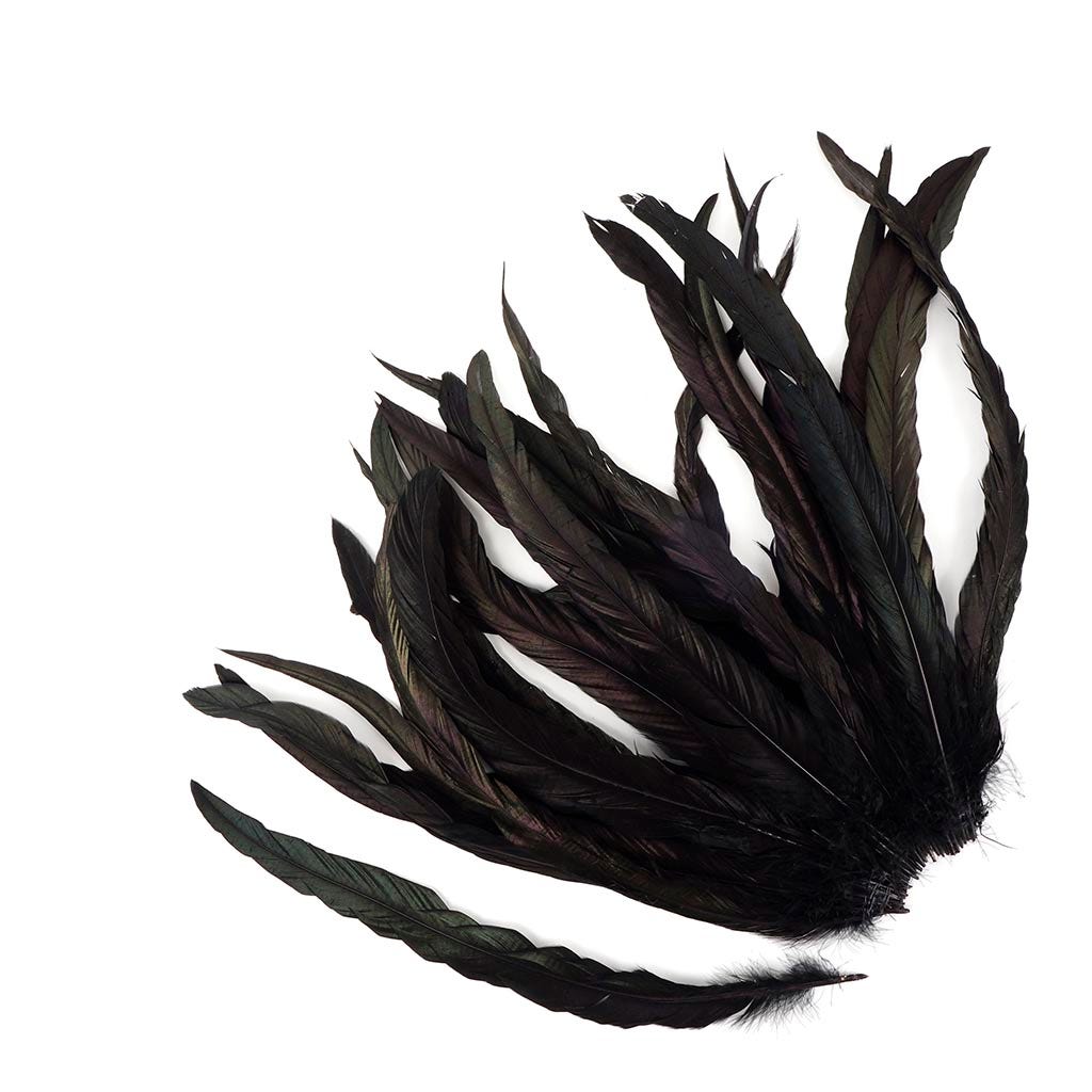 Rooster Coque Tails-Dyed - Black/Iridescent-11-14"