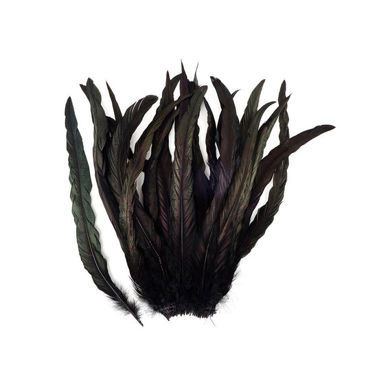 Rooster Coque Tails-Dyed - Black/Iridescent-11-14"