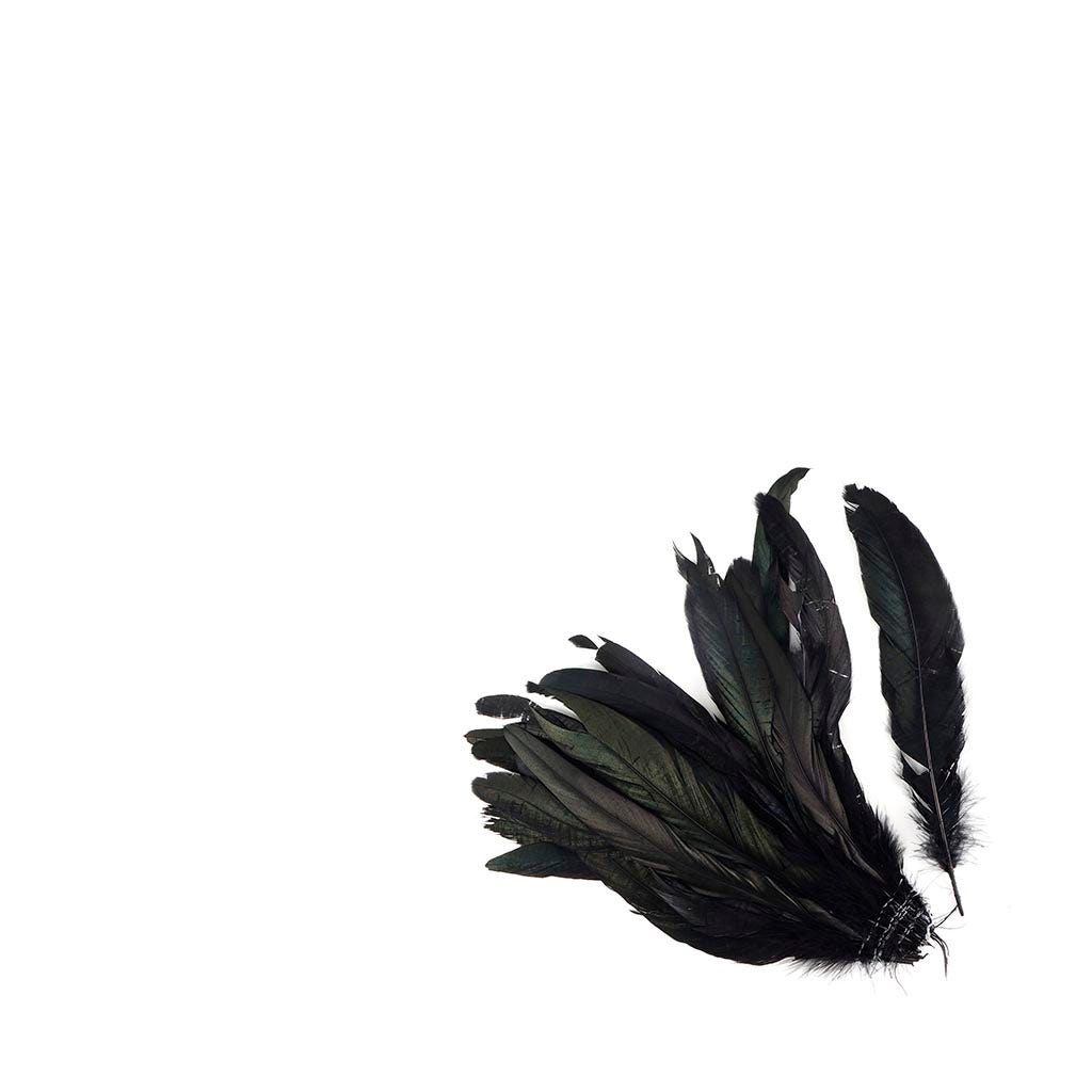 Rooster Coque Tails-Dyed - Black/Iridescent 7-10"