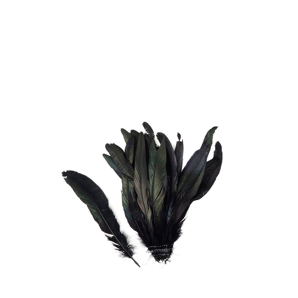 Rooster Coque Tails-Dyed - Black/Iridescent 7-10"