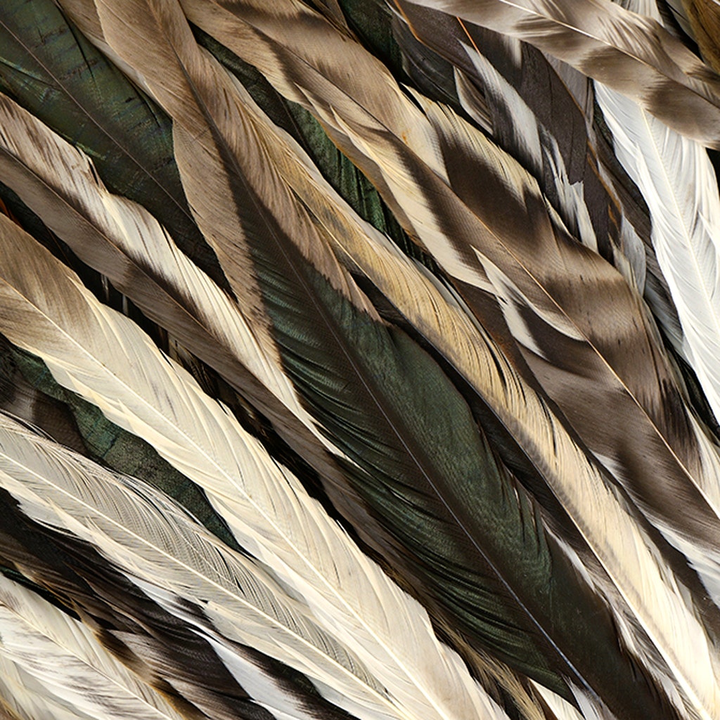 Rooster Coque Tails Feathers Chinchilla Natural 15-18" [1/4 LB Bulk]
