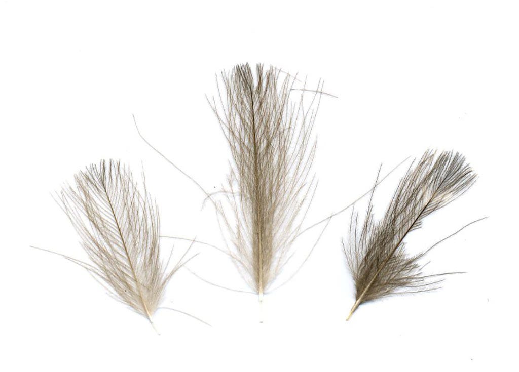 Duck Puffs Natural Grey Feathers - Natural