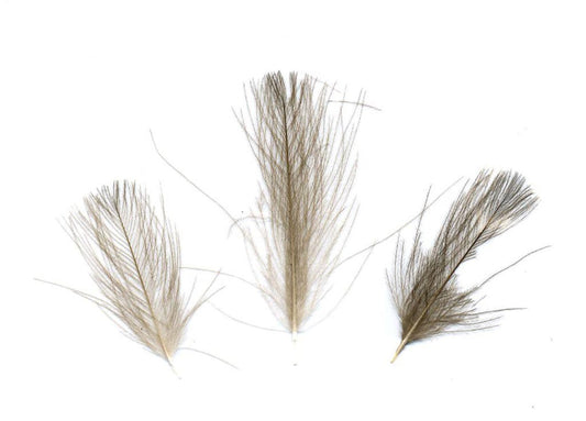 Duck Puffs Natural Grey Feathers - Natural