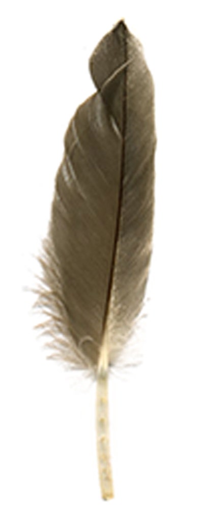 Loose Duck Cosse Shaded Natural - Natural