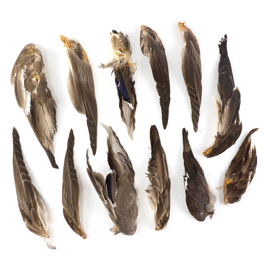 Grey Duck Wing #2 Grade Natural