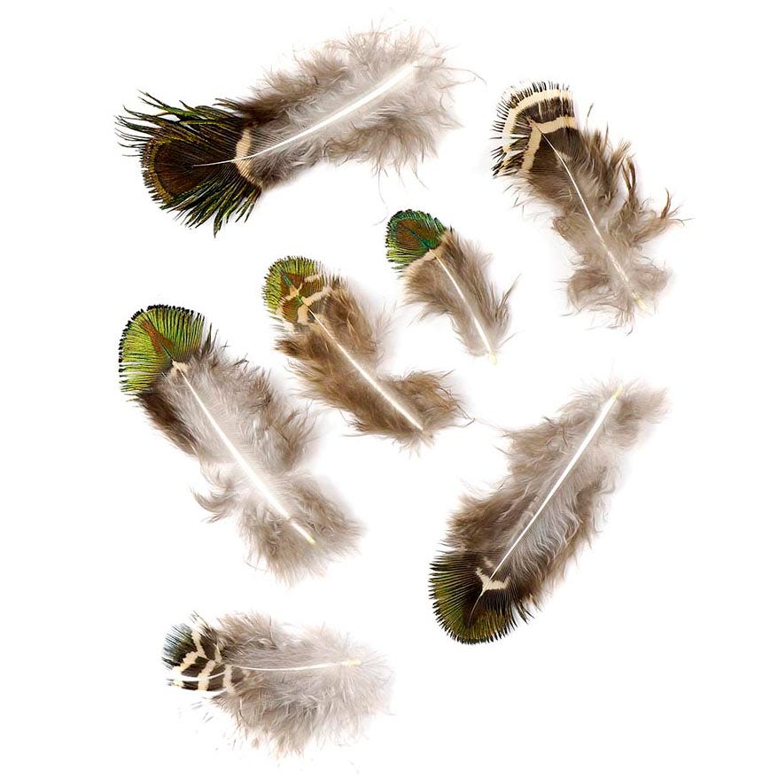 Natural Gold Peacock Feather Plumage[{WEDDING CENTERPIECES}] - Natural