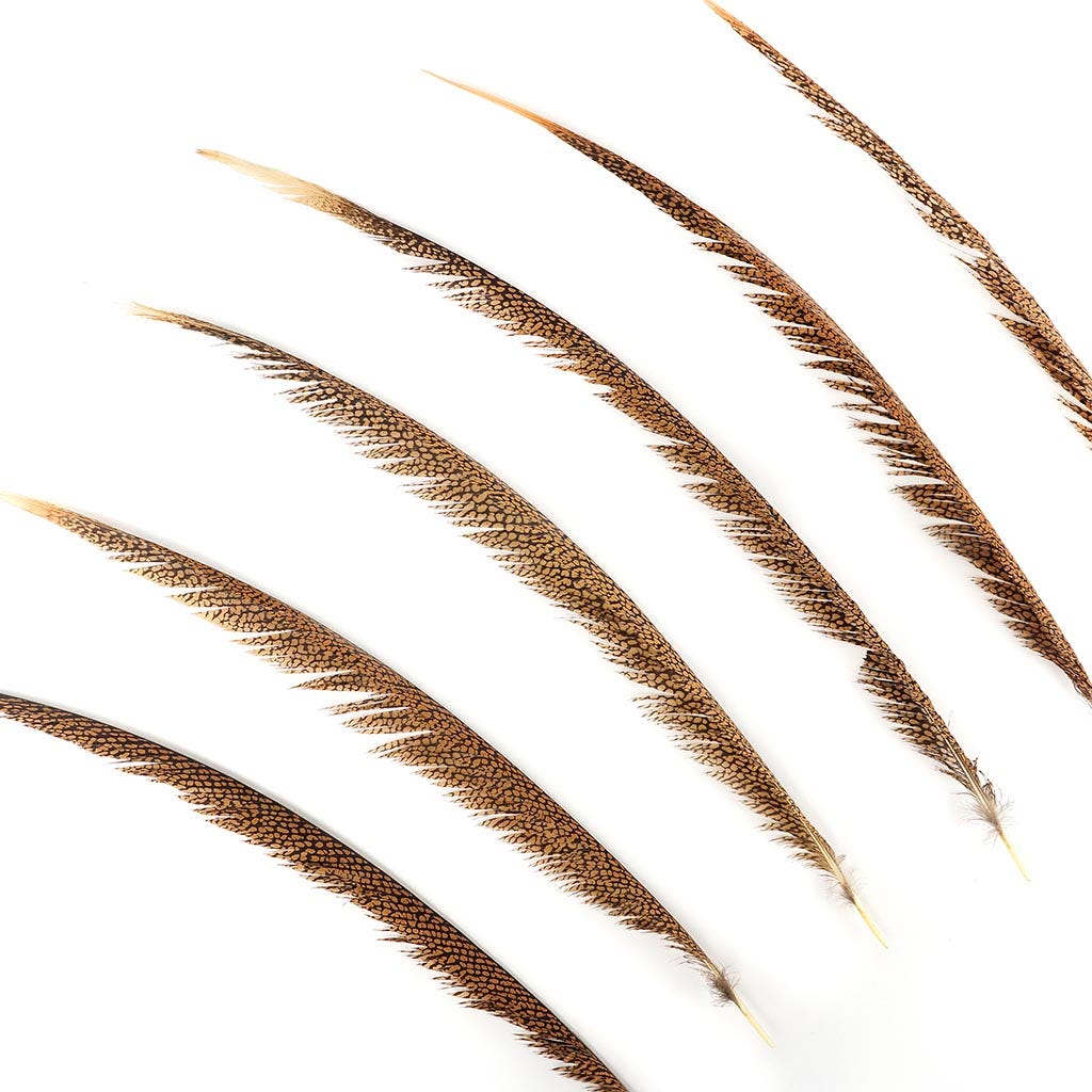 Natural Golden Pheasant Tail Center Feathers, 20 inches & up, 100 pieces, 1st Quality Feathers