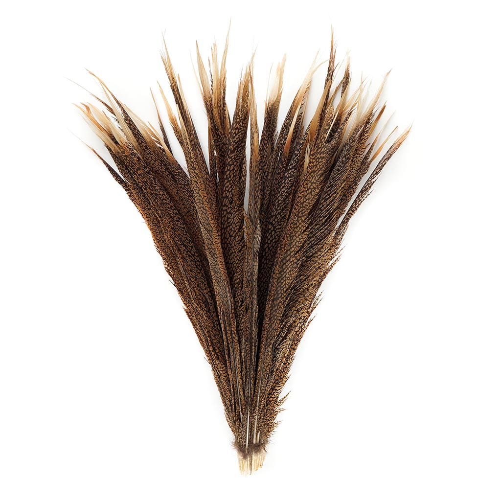 1 PC Golden Pheasant Center Tails 20-30" - Natural