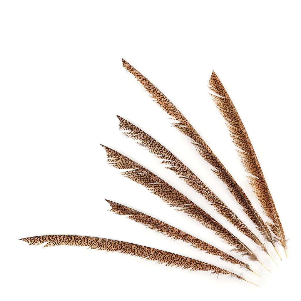 Natural Golden Pheasant Tail Center Feathers, 20 inches & up, 100 pieces, 2nd Quality Feathers