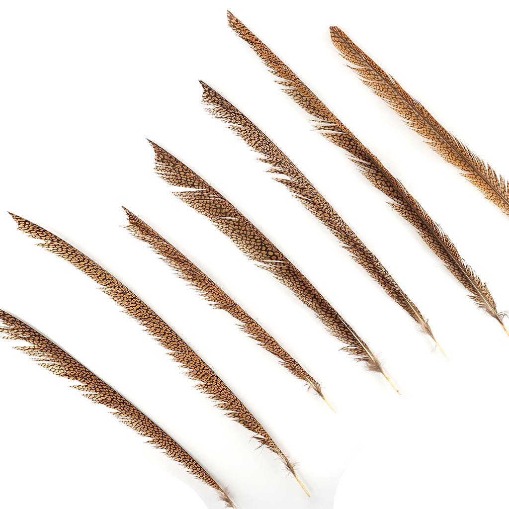 Natural Golden Pheasant Tail Center Feathers, 20 inches & up, 100 pieces, 2nd Quality Feathers