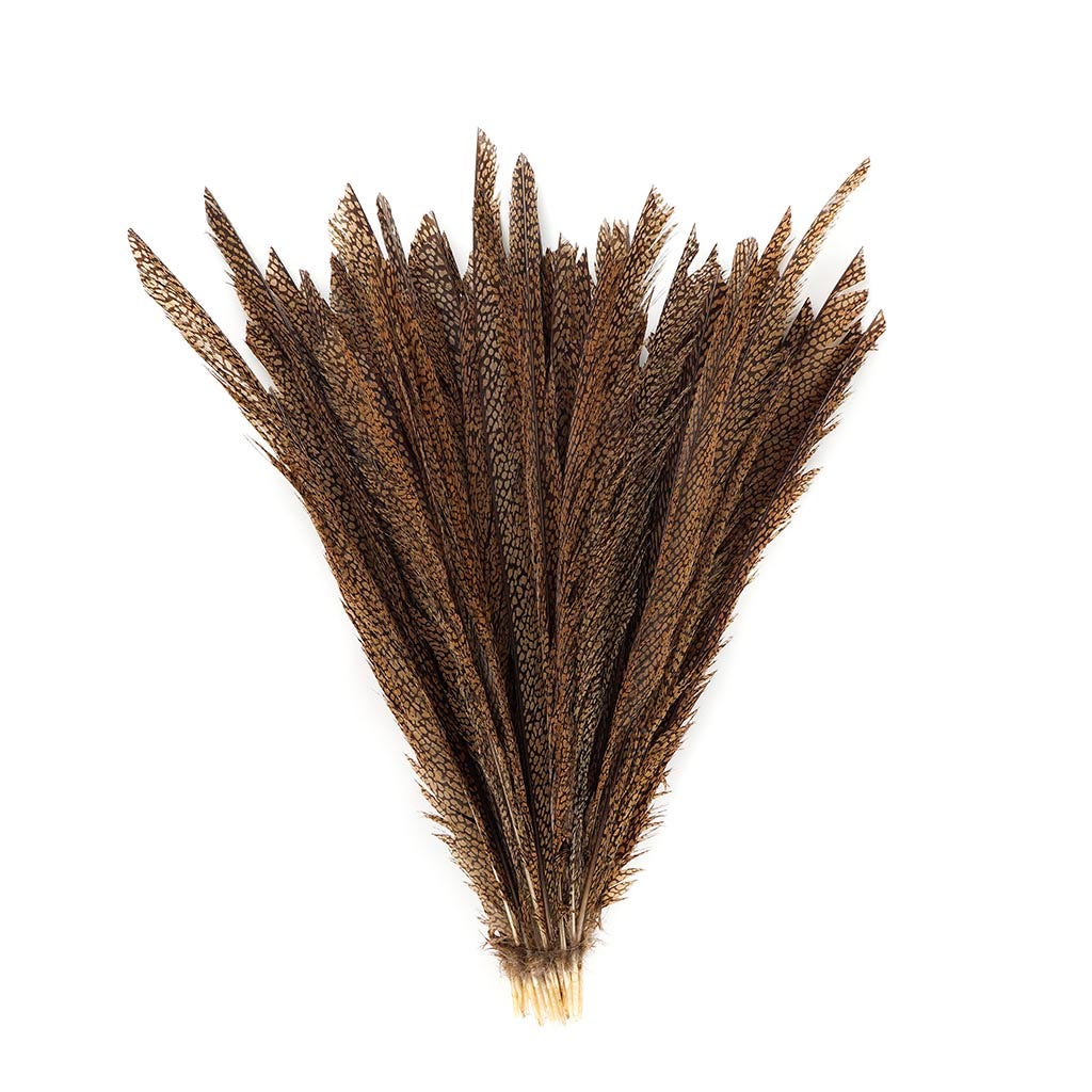 Natural Golden Pheasant Tail Center Feathers, 20 inches & up, 100 pieces, 2nd Quality Feathers