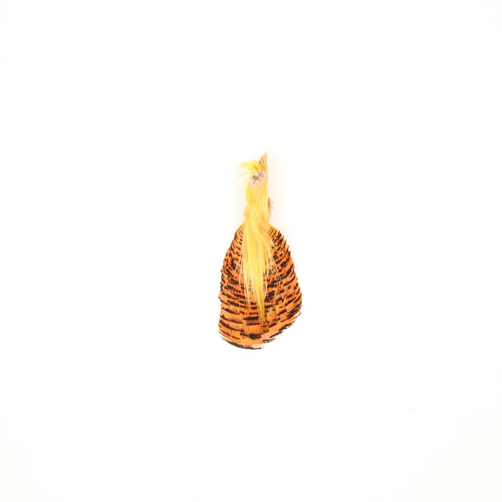 Golden Pheasant Crest #1 - Natural