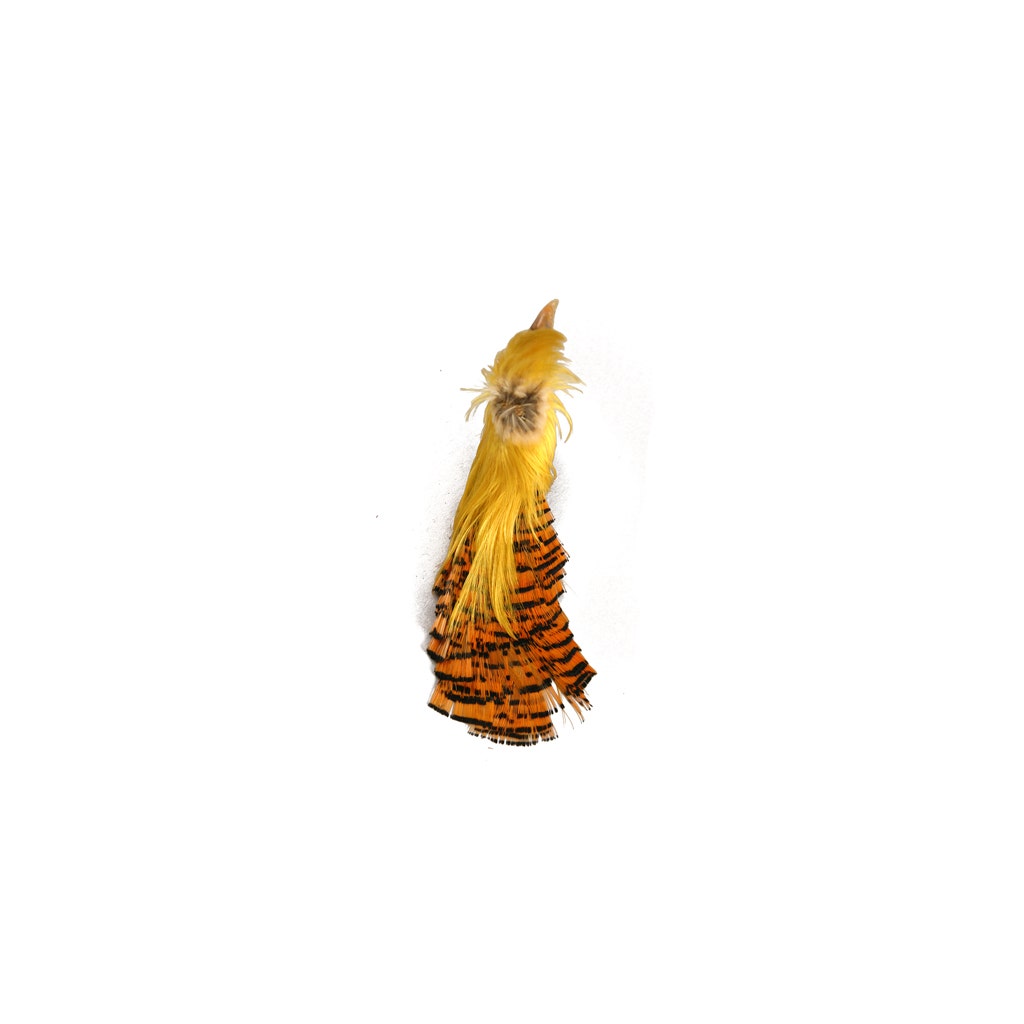 Golden Pheasant Crest #2 - Natural
