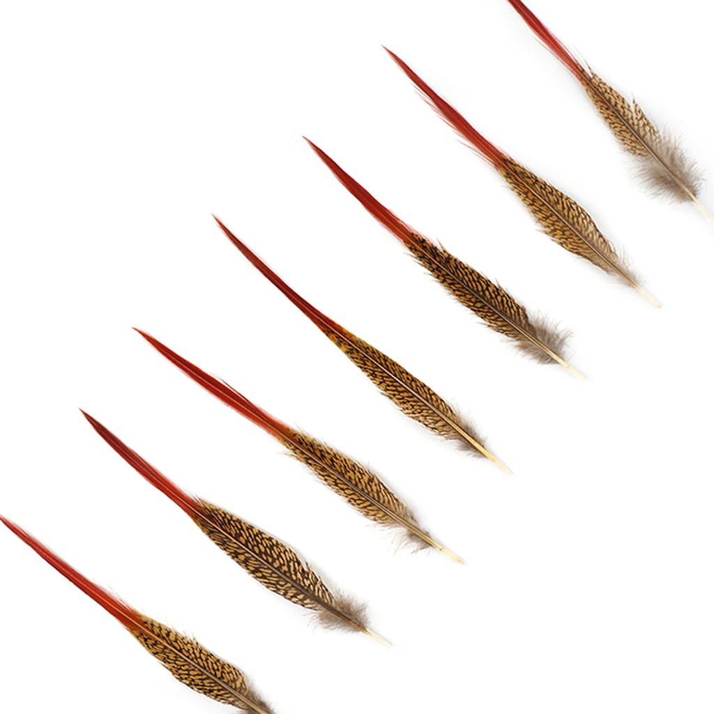 Golden Pheasant Red Top Tail Feathers - Natural - 8 - 10"