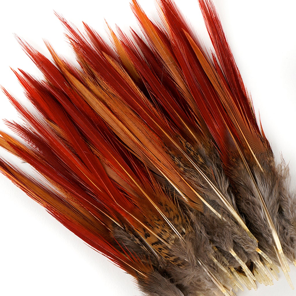 Golden Pheasant Red Top Tails - Natural-4-6"