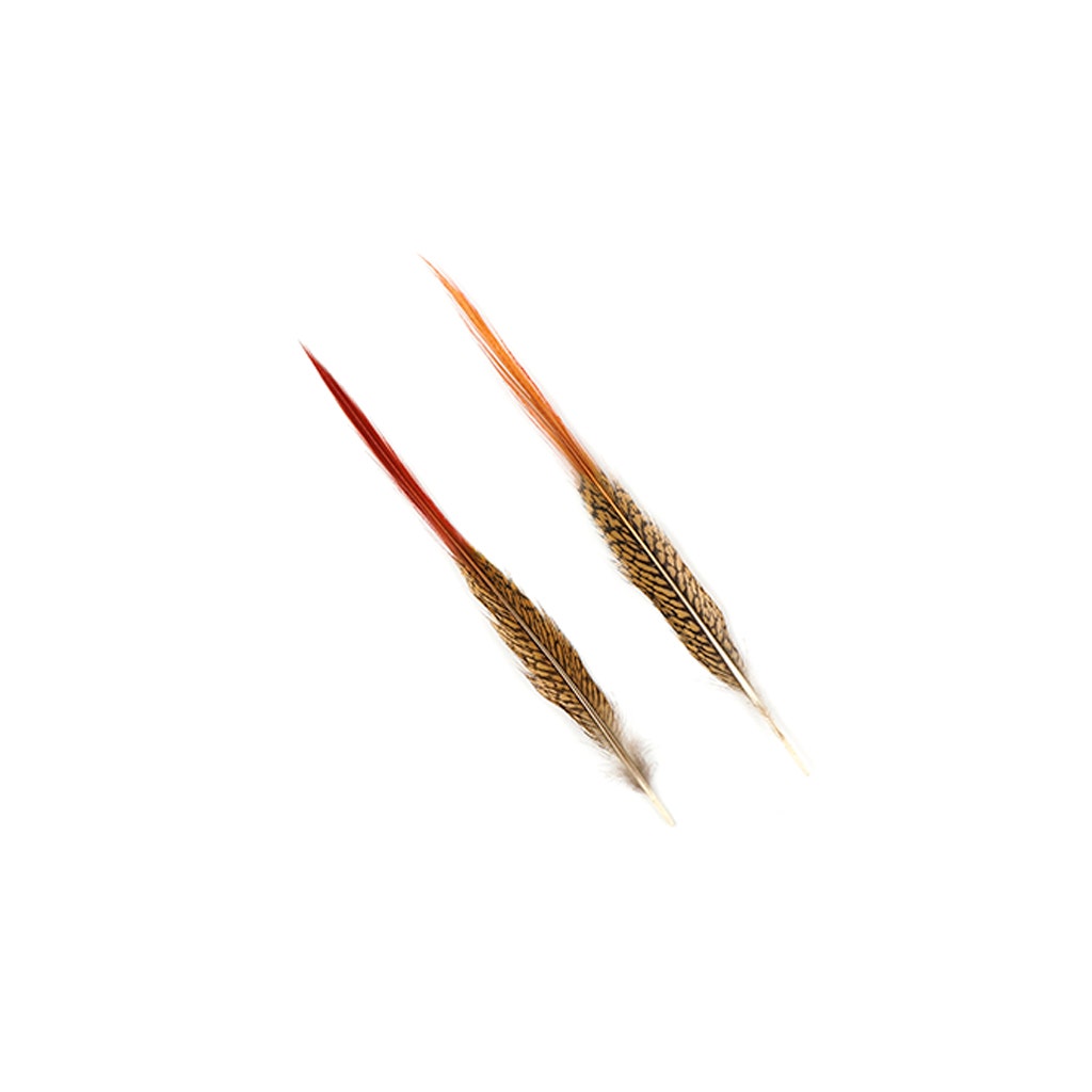 10 PC/PKG Golden Pheasant Red Top Tails 10-12"- Natural
