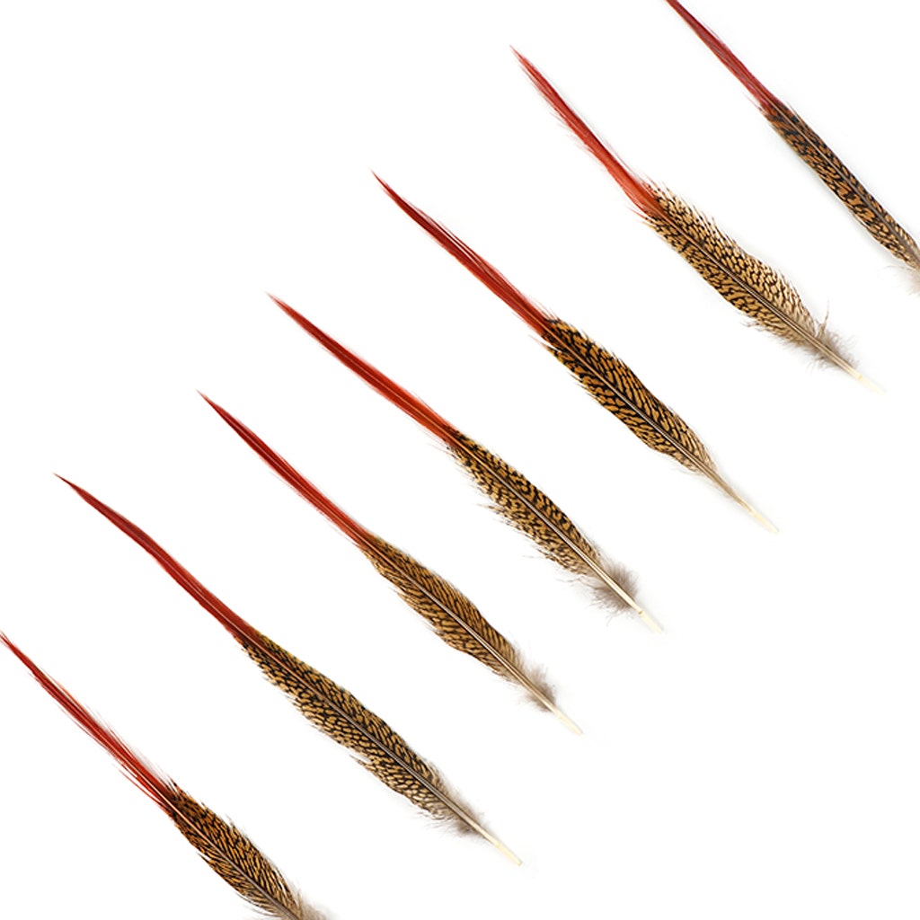 10 PC/PKG Golden Pheasant Red Top Tails 10-12"- Natural