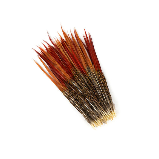 10 PC/PKG Golden Pheasant Red Top Tails 10-12"- Natural