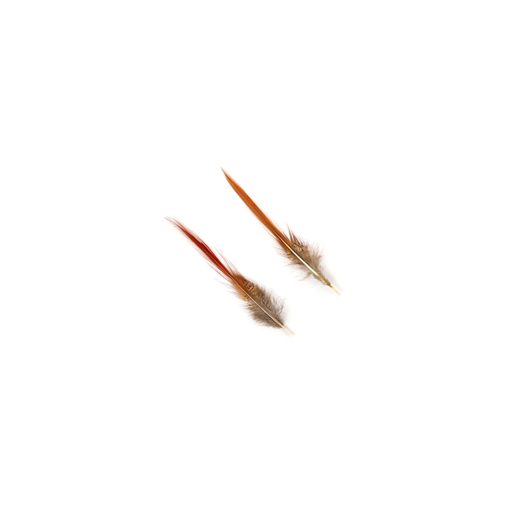 10 PC/PKG Golden Pheasant Red Top Tails 4-6" - Natural