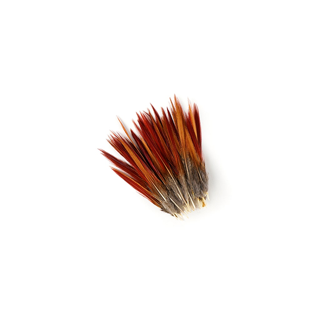10 PC/PKG Golden Pheasant Red Top Tails 4-6" - Natural
