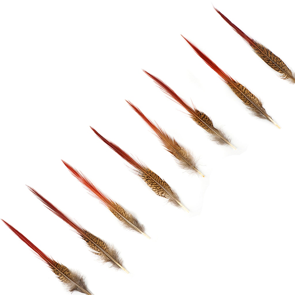 10 PC/PKG Golden Pheasant Red Top Tails 6-8" - Natural