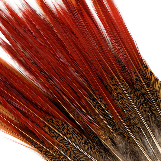10 PC/PKG Golden Pheasant Red Top Tails 6-8" - Natural