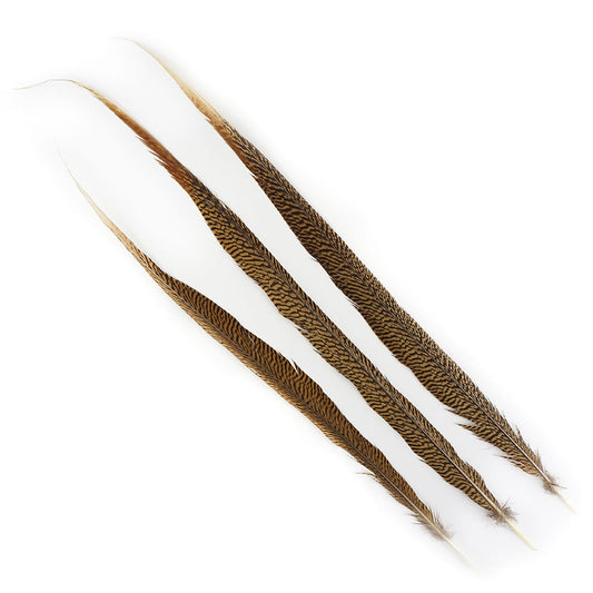 BGP30N Golden Pheasant Tails 25-30" Natural (3 Pieces Per Package)