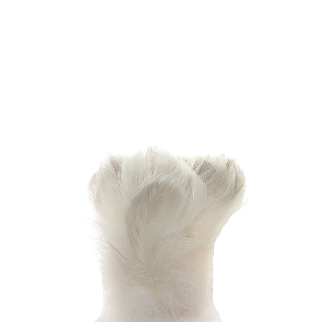 Goose Natural Grey Coquille - Natural