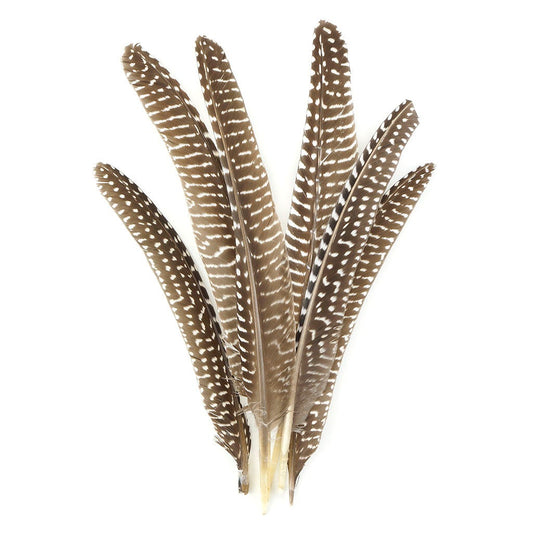 Guinea Feather Pointers Natural