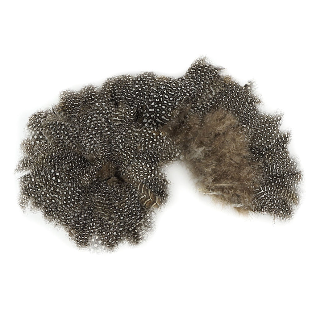 Guinea Plumage Feathers - Natural
