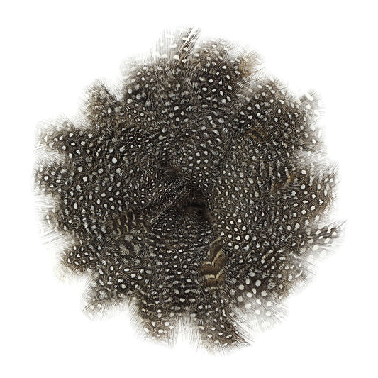 Guinea Plumage Feathers - Natural