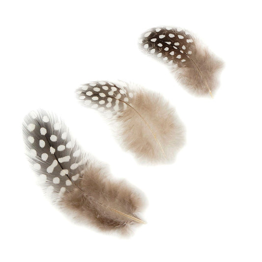 Loose Guinea Plumage Natural - Natural