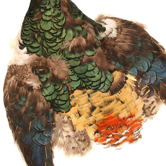Lady Amherst Pheasant Pelt #1 No Crest - Natural